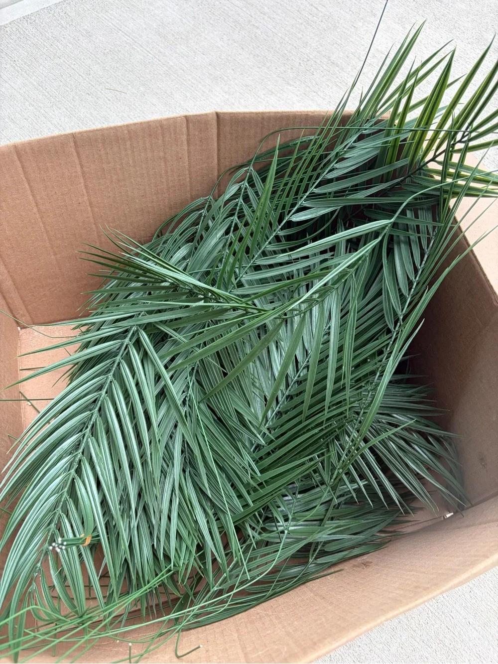 Amazon 55 pcs